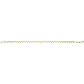 Charm Bracelet 14K Yellow Gold Filled 4.0mm  7