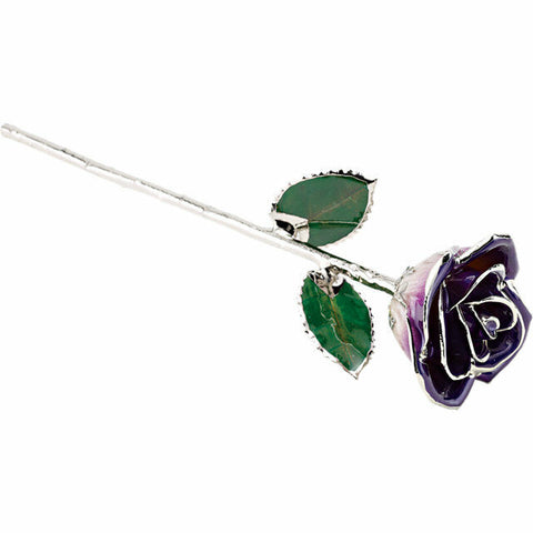 Image of Real Lacquered Purple Platinum Plated Rose 12" Stem FREE Shipping and Gift Box