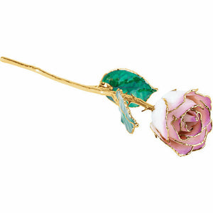 Lacquered Cream Picasso Long Stem Rose with Gold Trim FREE Shipping & Gift Box