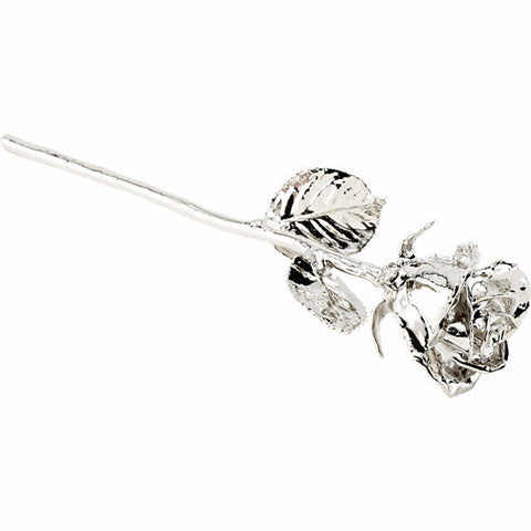 Image of Real 12"  Platinum Plated Rose with Long Stem FREE Shipping and Gift Box